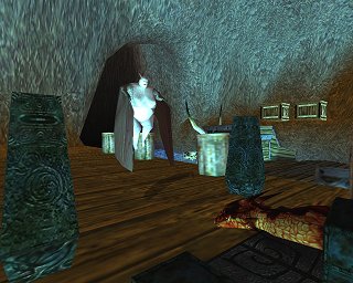 Arokh feeling miserable after his enounter with the Succubi Queen (Order of the Flame screenshot)